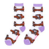 Coucou Suzette Čarape Dachshund