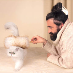 Kopča za kosu Persian cat brenda Coucou Suzette