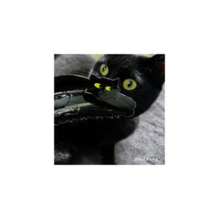 Coucou Suzette Kopča za kosu Black Cat - dodaci za kosu