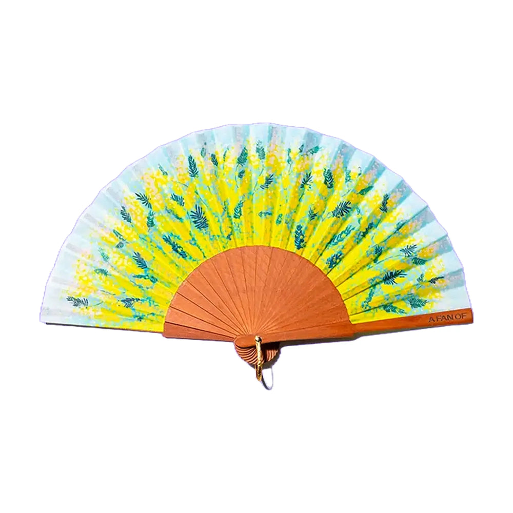 A Fan Of Lepeza Magic Mimosa