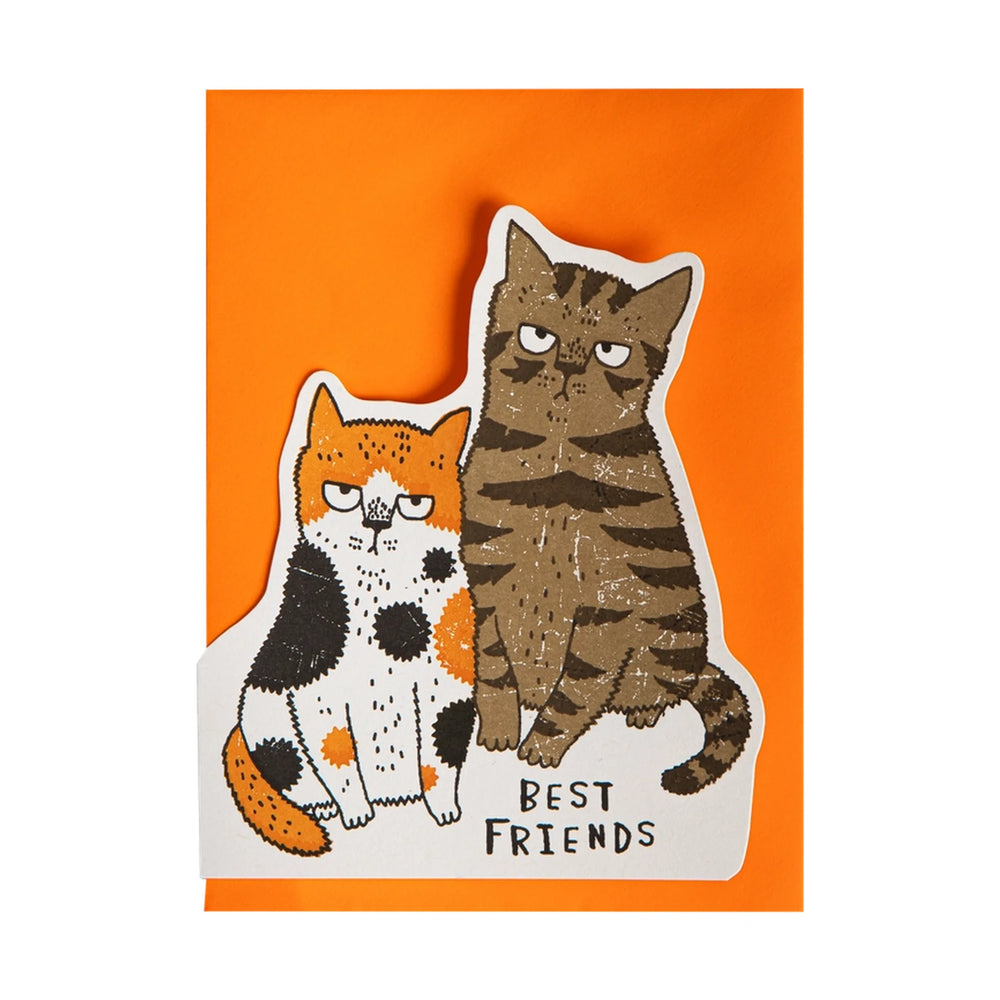 Čestitka Grumpy Cats brenda Archivist