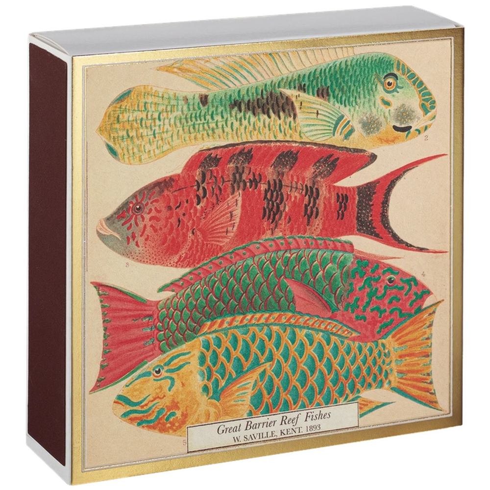 Archivist Šibice Fish | SHARENO