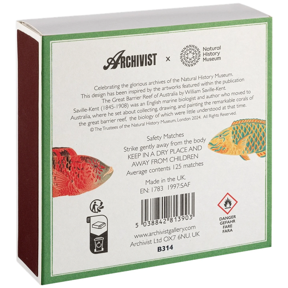 Archivist Šibice Fish - šibice