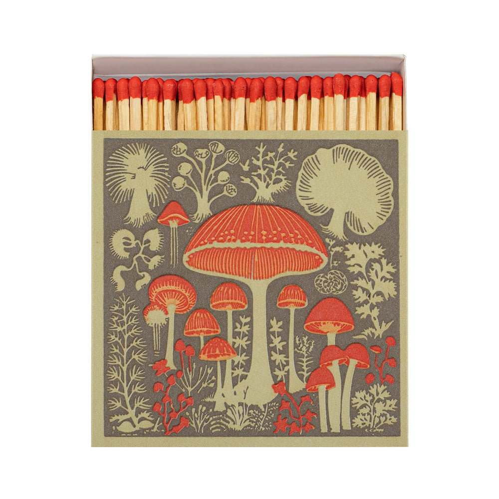Archivist Šibice Mushroom