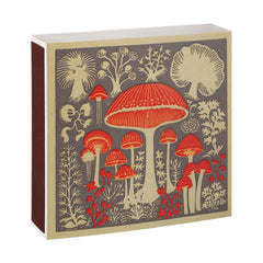 Archivist Šibice Mushroom - šibice