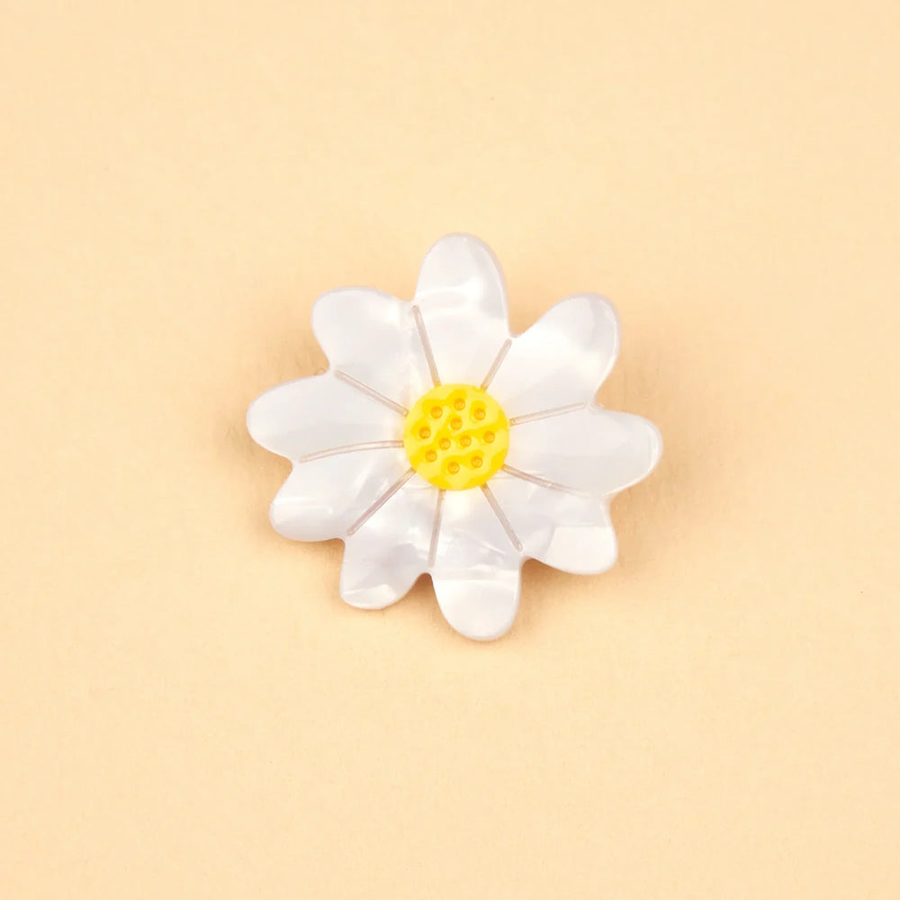 Coucou Suzette Broš Daisy - broševi