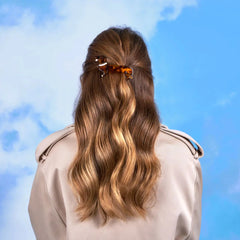 Coucou Suzette French Barrette Ukosnica Jazavčar