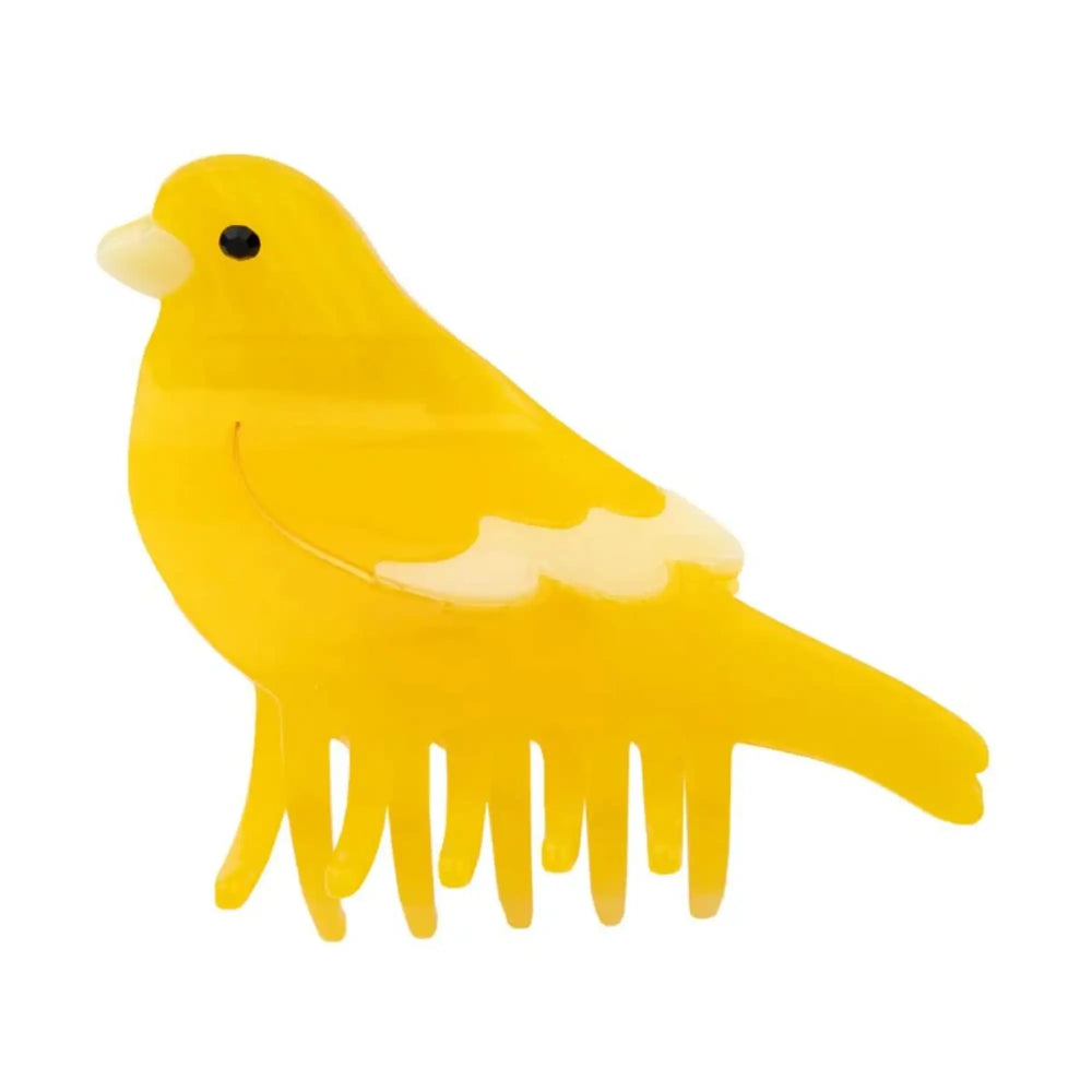 Coucou Suzette Kopča za kosu Canary