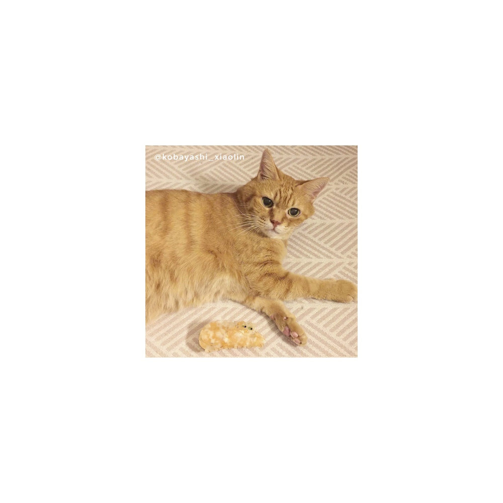 Coucou Suzette Kopča za kosu Ginger Cat - dodaci za kosu
