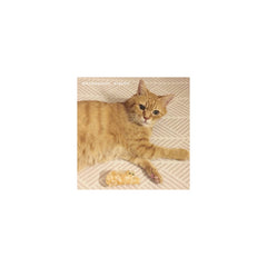 Coucou Suzette Kopča za kosu Ginger Cat - dodaci za kosu