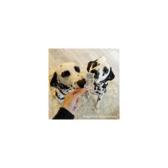 Coucou Suzette Kopča za kosu Dalmatian - dodaci za kosu