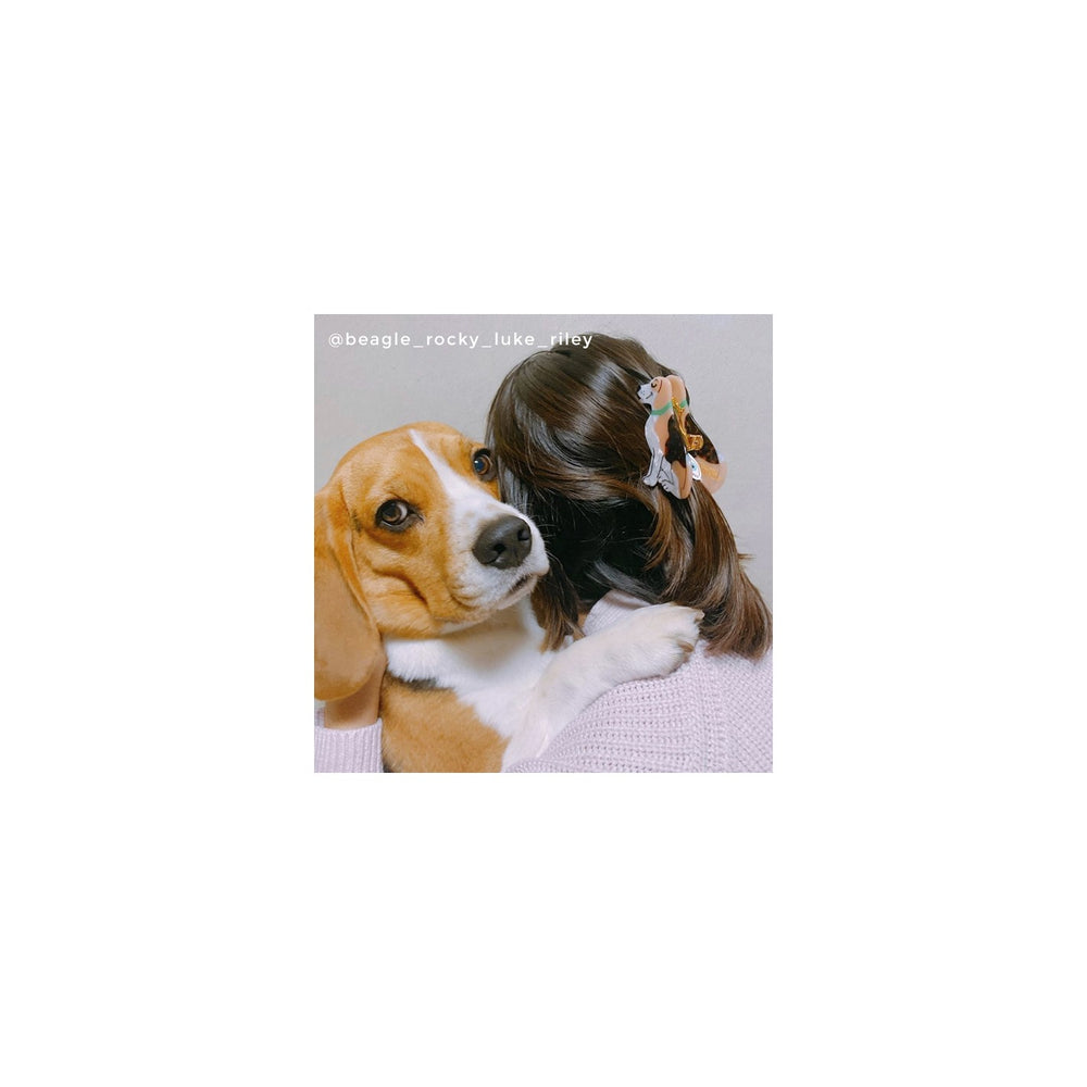 Kopča za kosu Beagle Coucou Suzette - dodatni prikaz